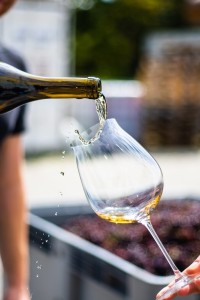 Photo of Wine tasting!